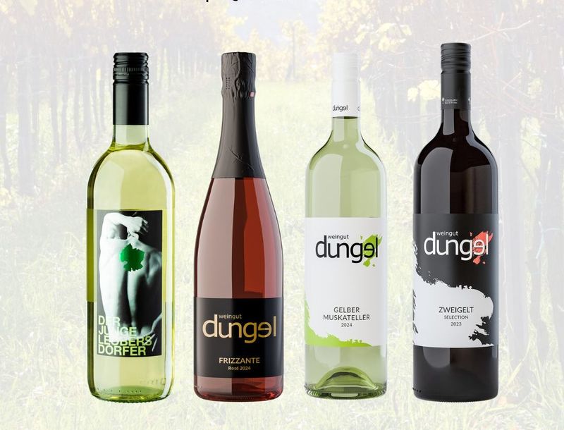 Vier Weinflaschen vom Weingut Düngl vor einem Weingarten